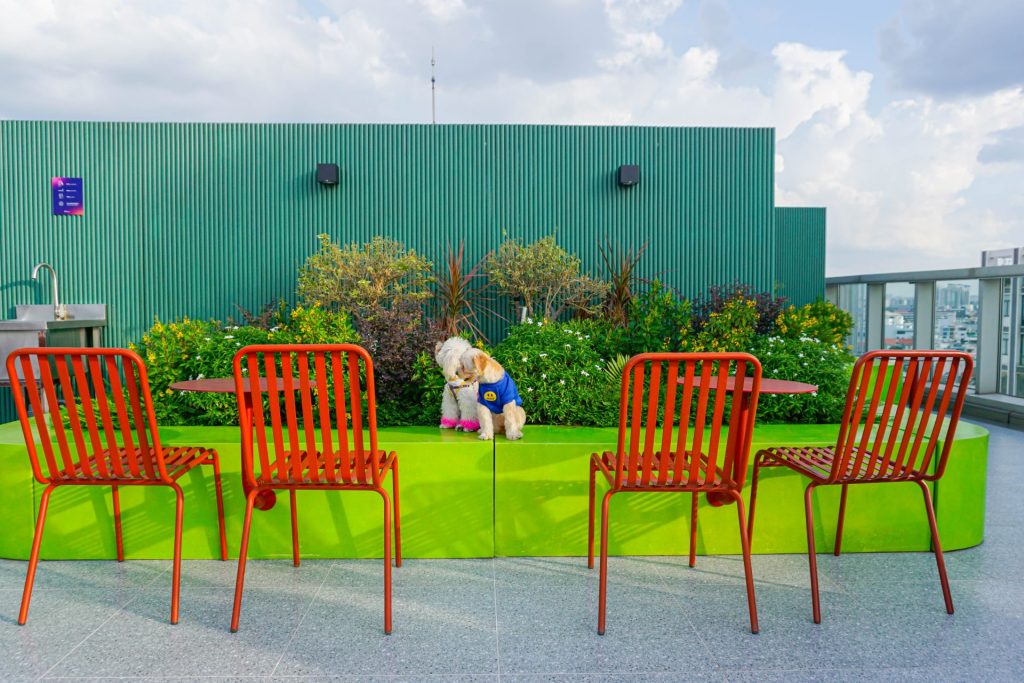 At The Sentry, we believe feeling good at work is key to doing great work.