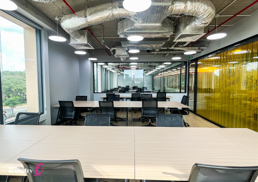 Collaborative team working in an open-plan Sentry workspace.