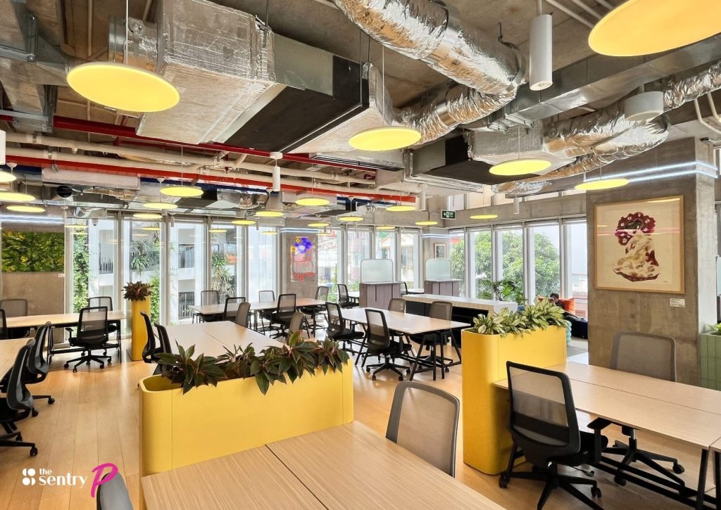 A comfortable, thoughtfully designed office lounge area with natural light and indoor greenery.