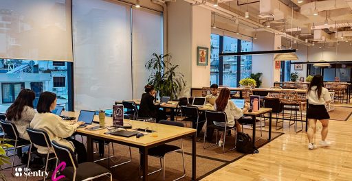 When Does a Serviced Office Space Make Sense for a 5–20 Person Team?