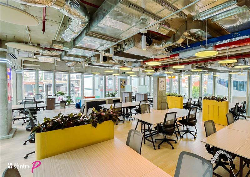 Coworking members chatting and collaborating in a communal lounge area