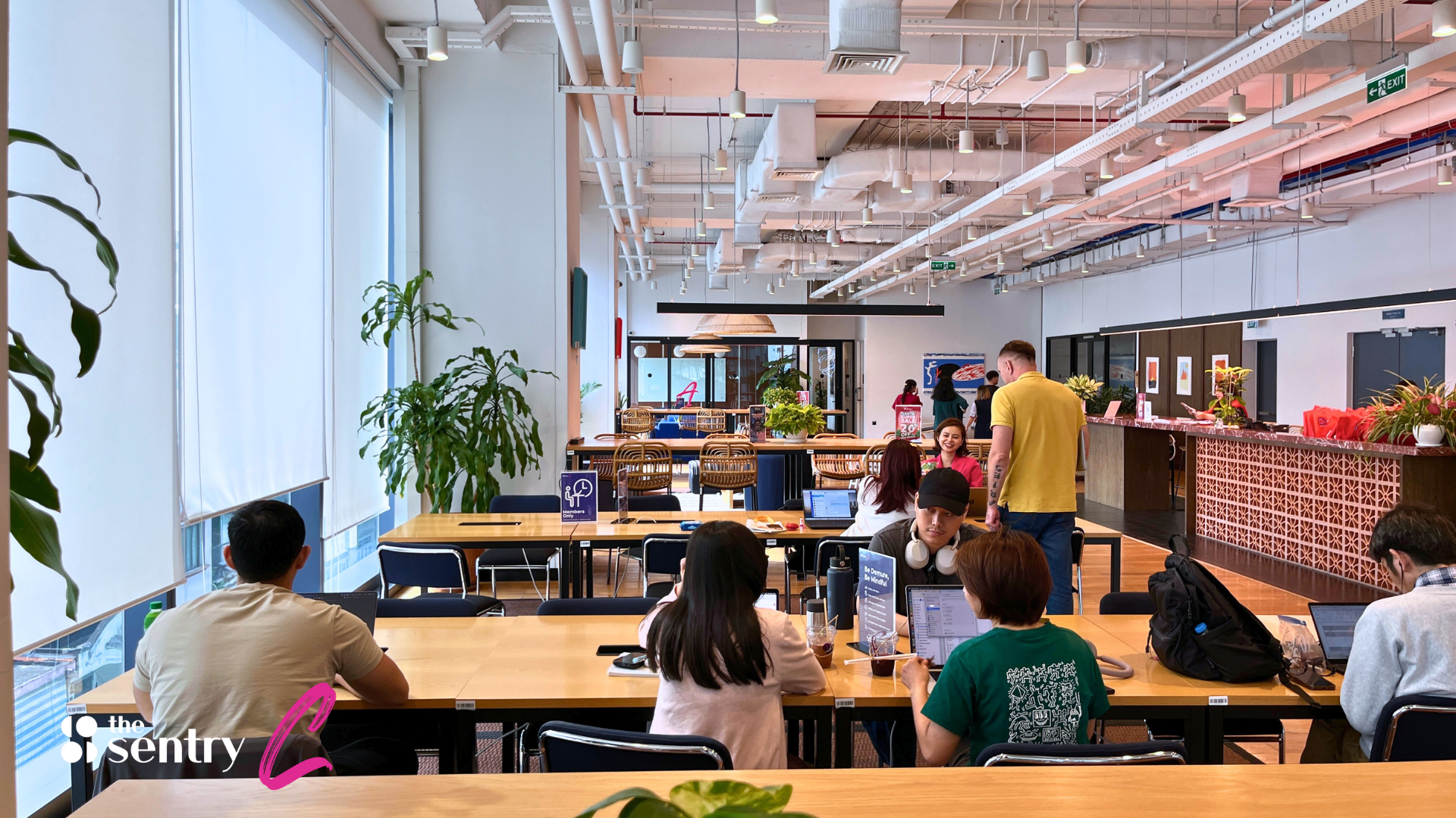 Hot Desk vs Dedicated Desk: How to Choose the Right One for Your Work